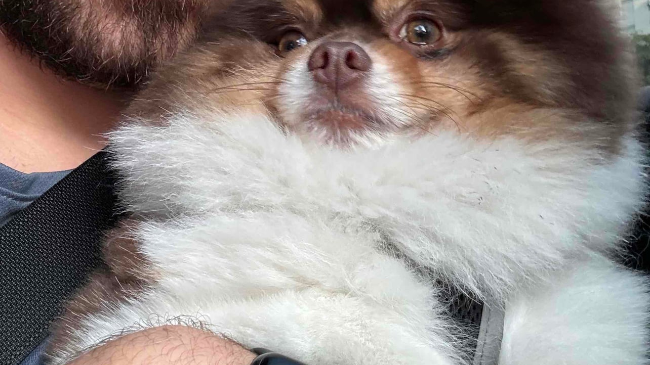 wesleonardi (w35l3yl8-) Farcaster social identity (Fname handle) PFP