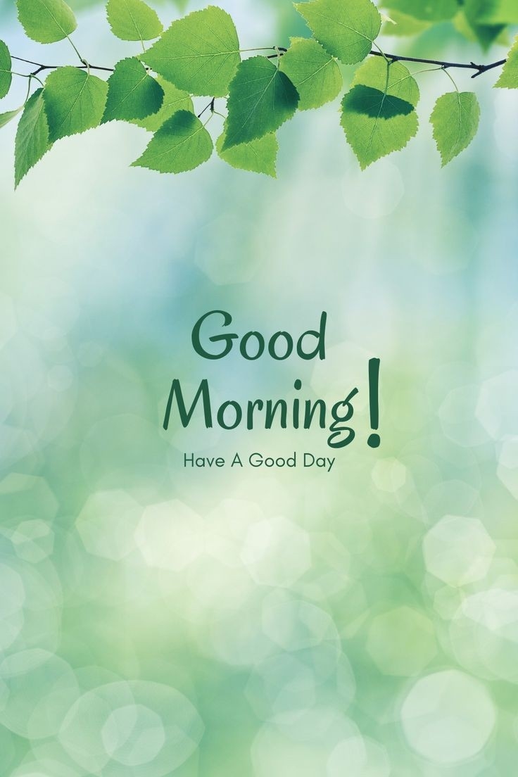 https://imagedelivery.net/BXluQx4ige9GuW0Ia56BHw/59700d9d-3961-4fb8-6f6f-b8e3235d7e00/original