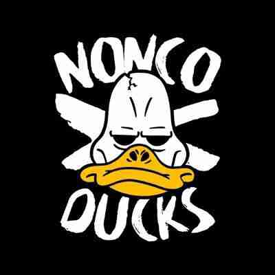 Nonconformist Ducks pfp