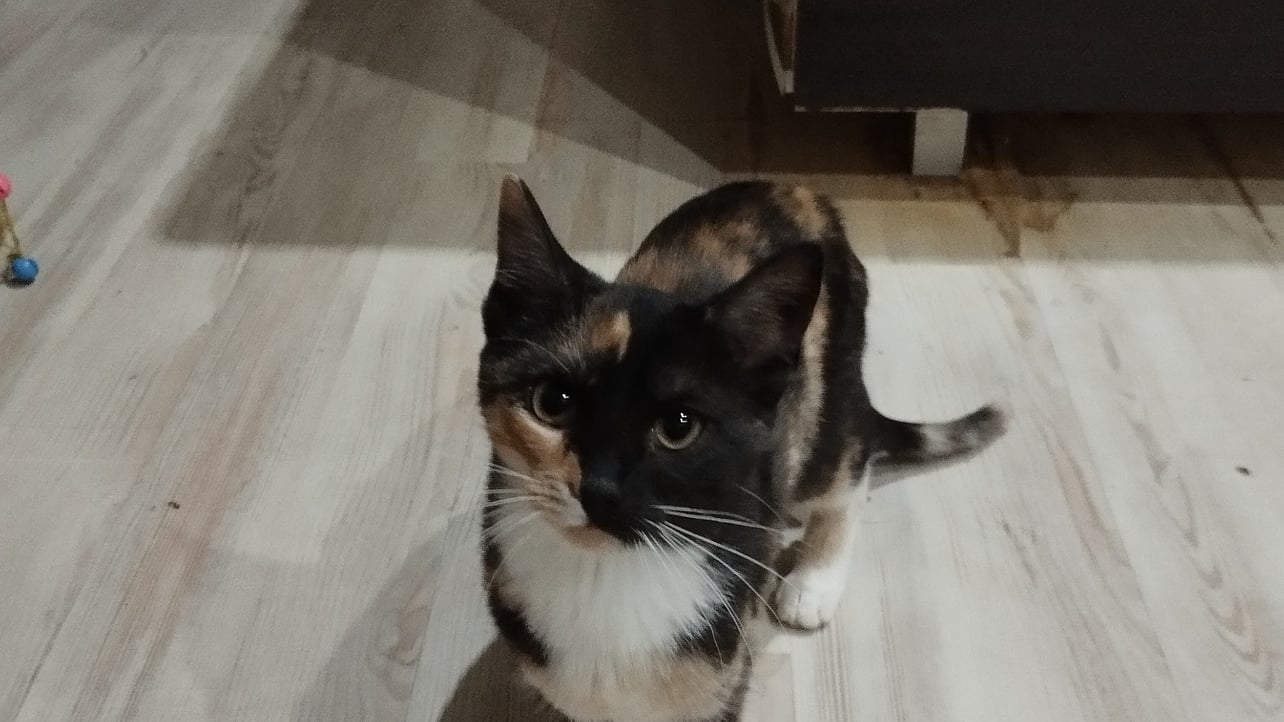 cherep1978.base.eth Basenames (.base.eth domains) based on ENS PFP