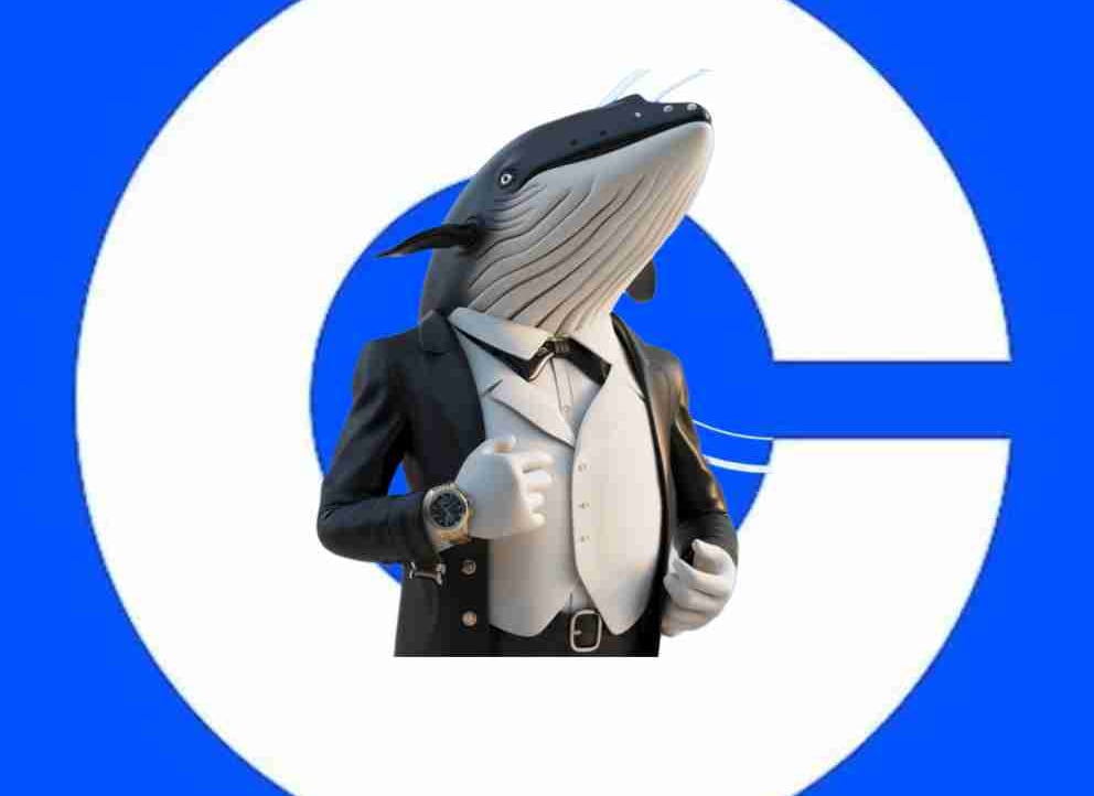 Wagmi Whale pfp