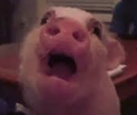 ekze Farcaster social identity (Fname handle) PFP