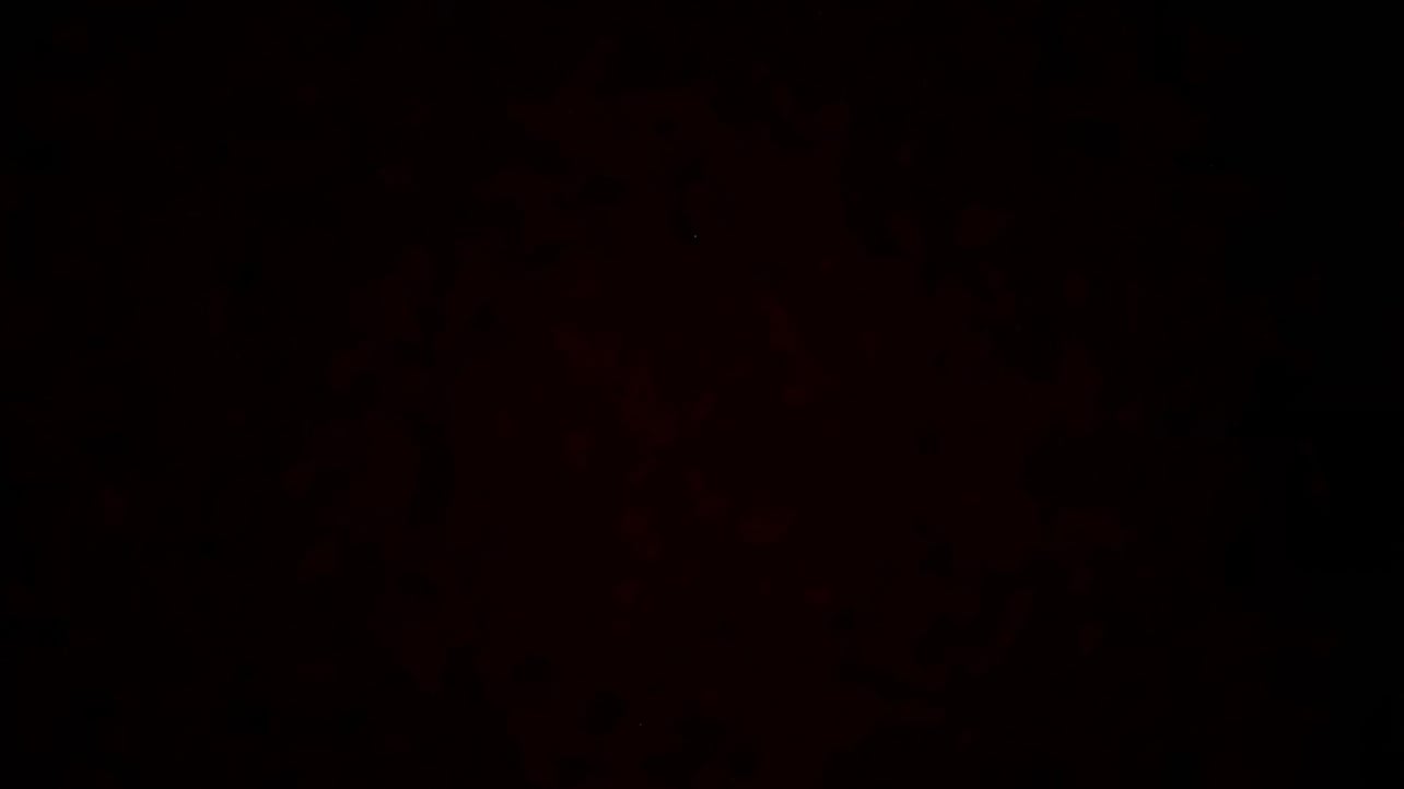 DEAD pfp