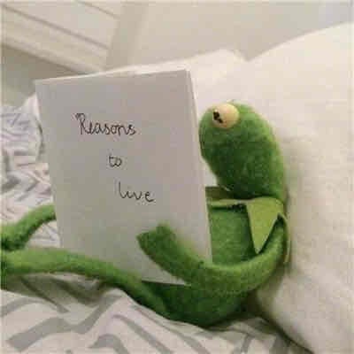 sherwoodpryer.lens Lens social identity (.lens handle) PFP