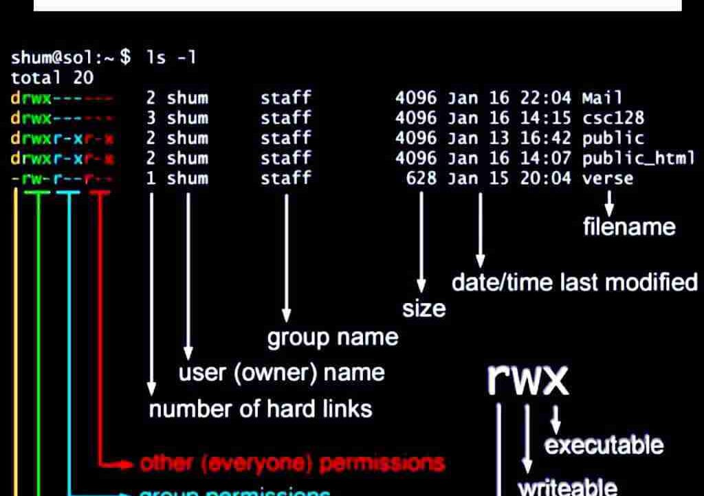 Ian (ianhomew.lens) Lens social identity (.lens handle) PFP