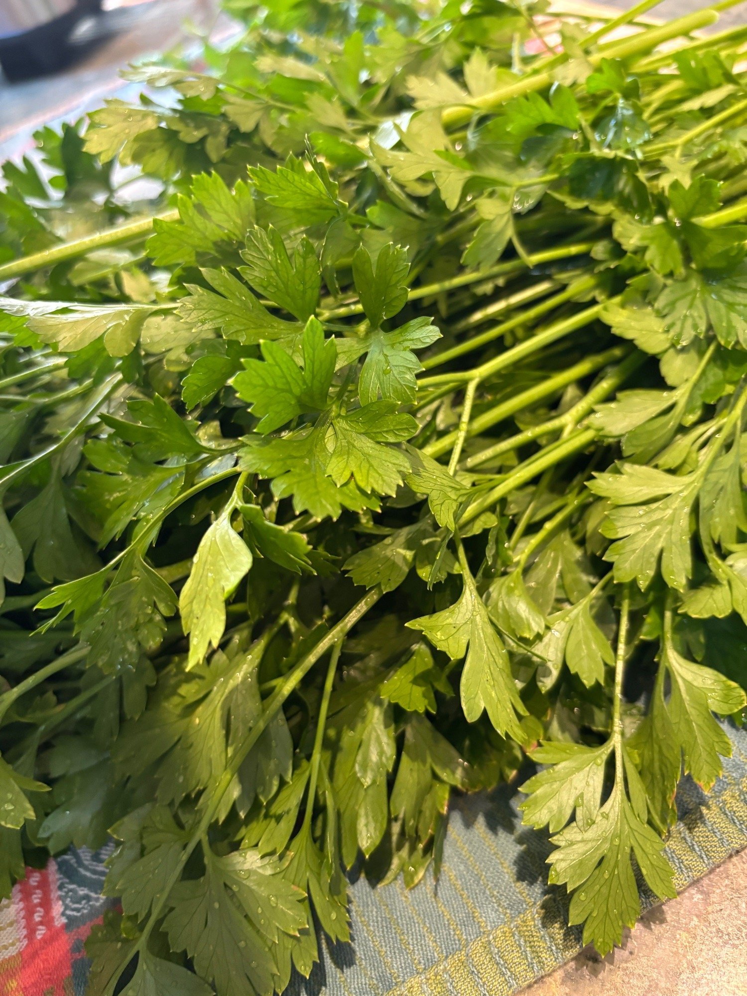 Embed from @adrienne