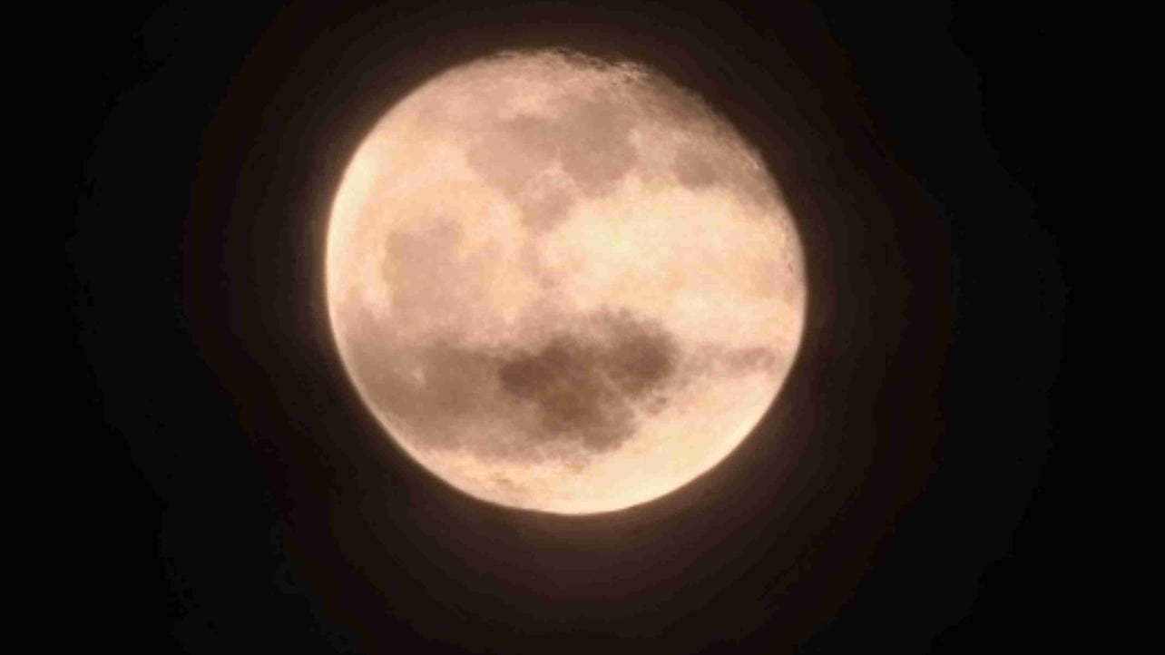 MisterKim8036 (misterkim8036.lens) Lens social identity (.lens handle) PFP