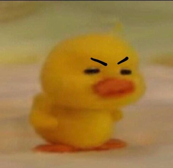 🤡🤡JollyJester🤡🤡 (pienskin29) Farcaster social identity (Fname handle) PFP