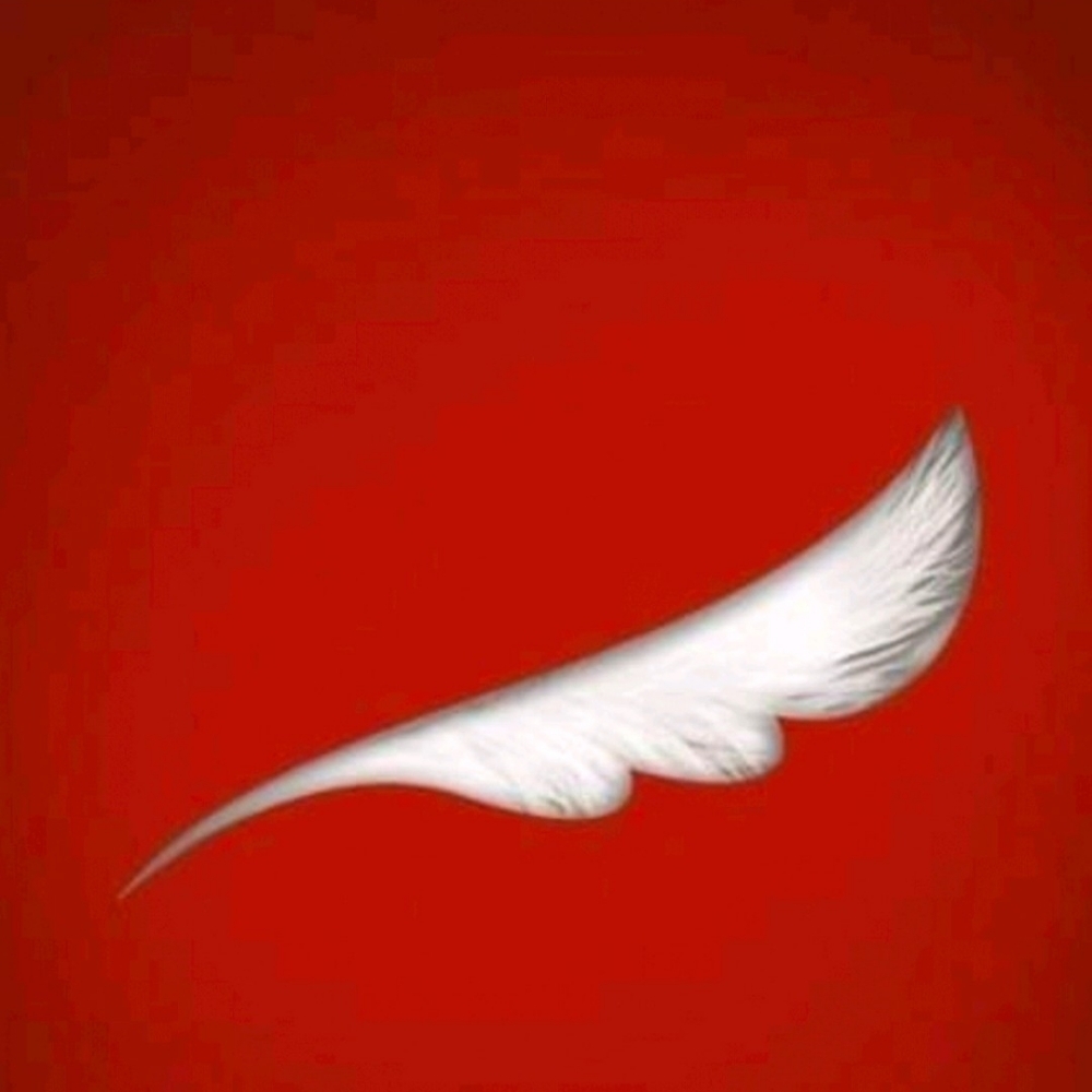 Lugi Prasetyo pfp