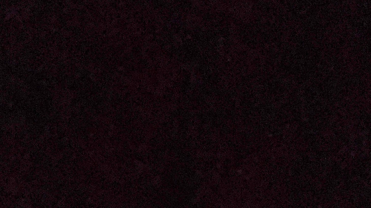 smorgasbord (smorgasbord.lens) Lens social identity (.lens handle) PFP