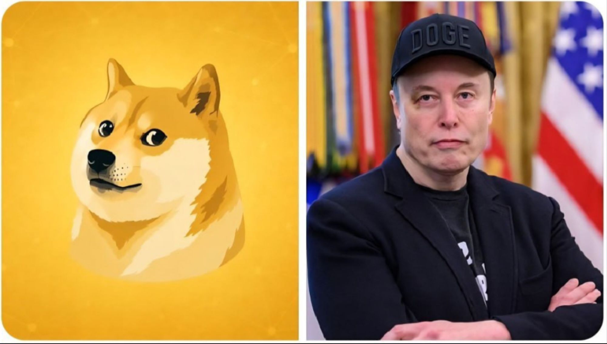 DogeOs