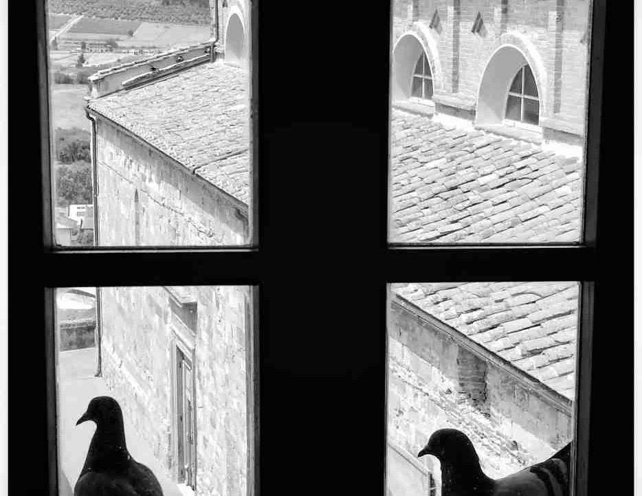 Stacy Sims (haileyjenkins) Farcaster social identity (Fname handle) PFP