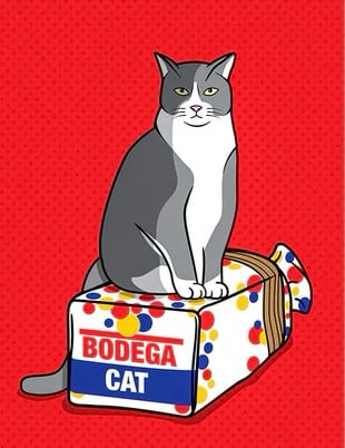 Bodega pfp