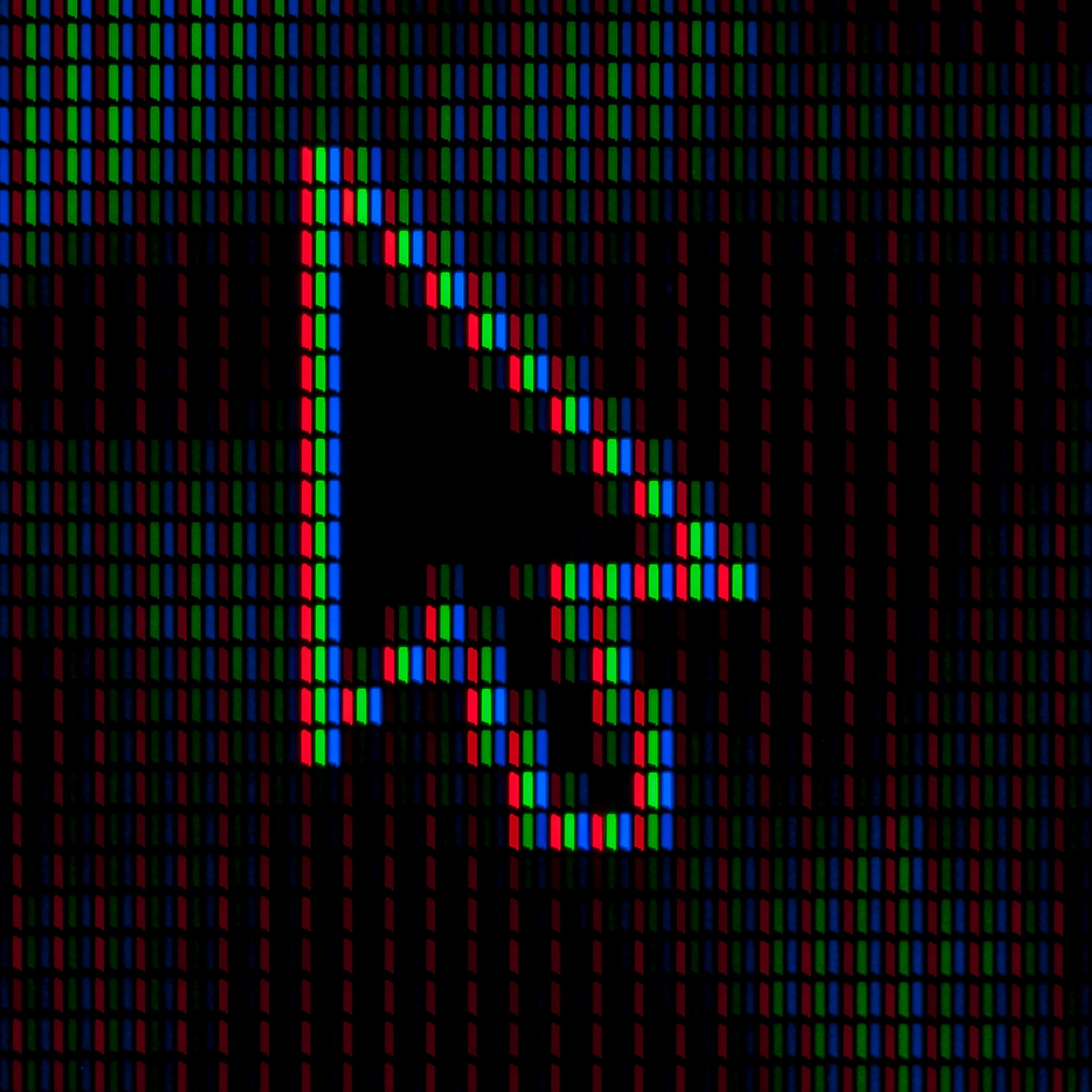 Swaraj pfp