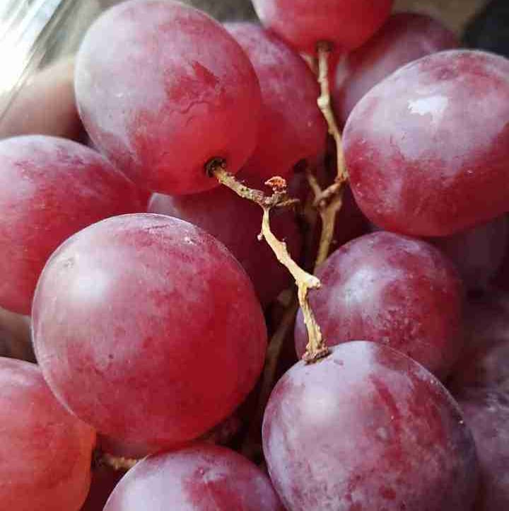 dankano1.lens Lens social identity (.lens handle) PFP