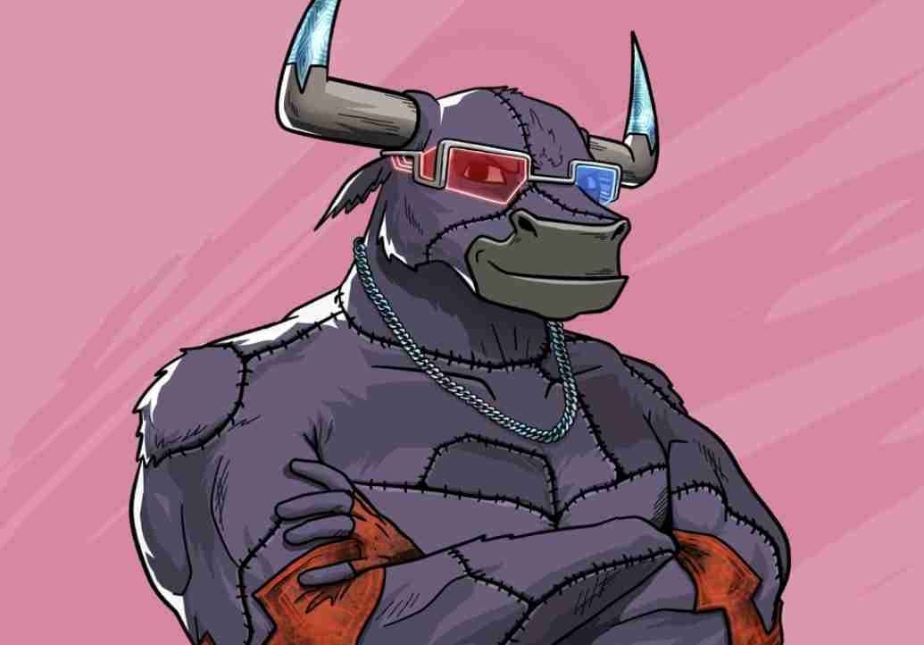 Rocky Bulliever pfp