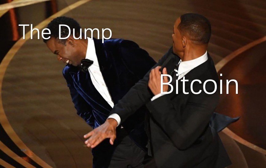 https://imagedelivery.net/BXluQx4ige9GuW0Ia56BHw/5ef15593-e911-403b-3fc8-49fa52e90500/original