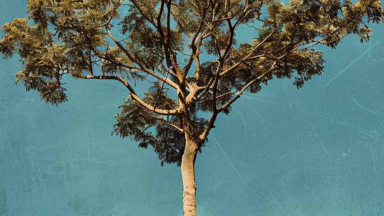 pattonscottie726 pfp