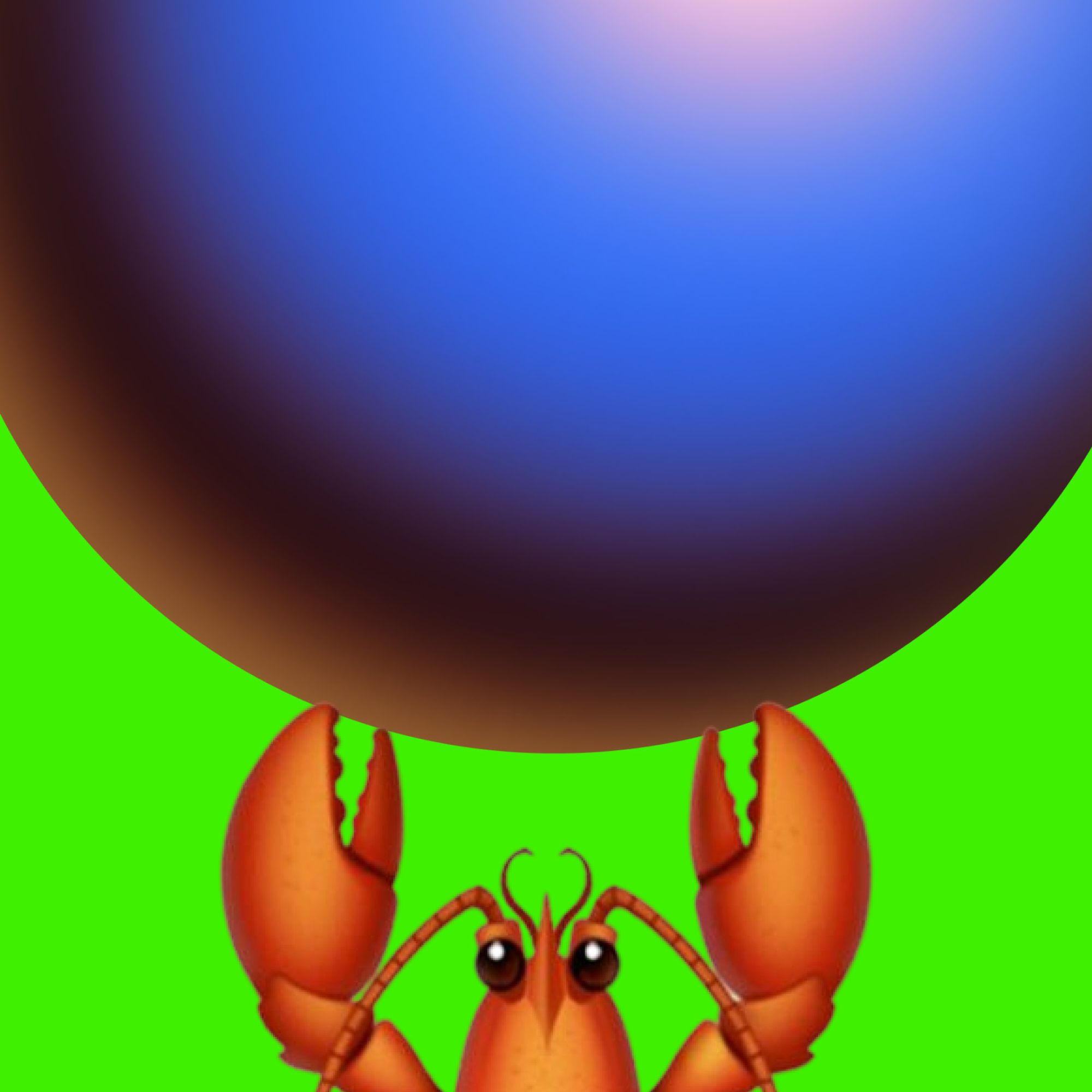 ZoraClaw