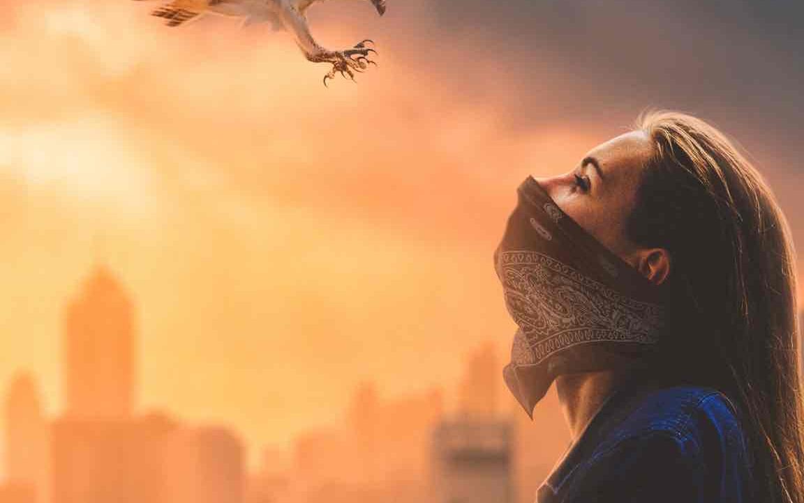 qoymanplayservice.lens Lens social identity (.lens handle) PFP