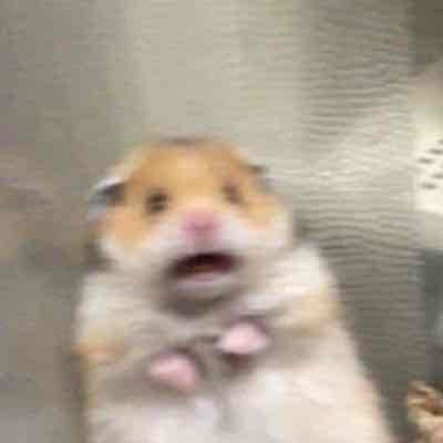 Mrmouse pfp