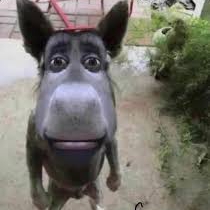 Alfiansyah (tujudua) Farcaster social identity (Fname handle) PFP