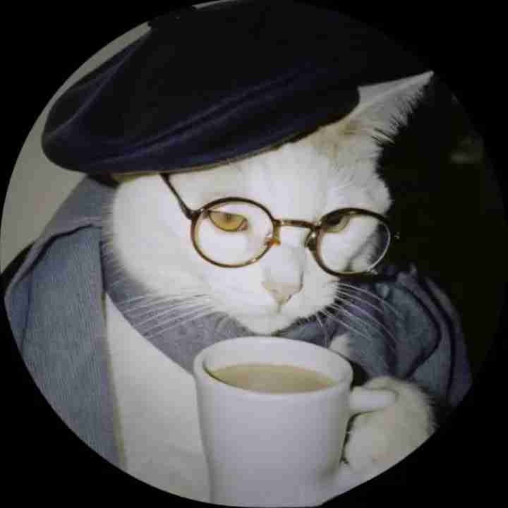 toby ⬆ᝰ.ᐟ pfp