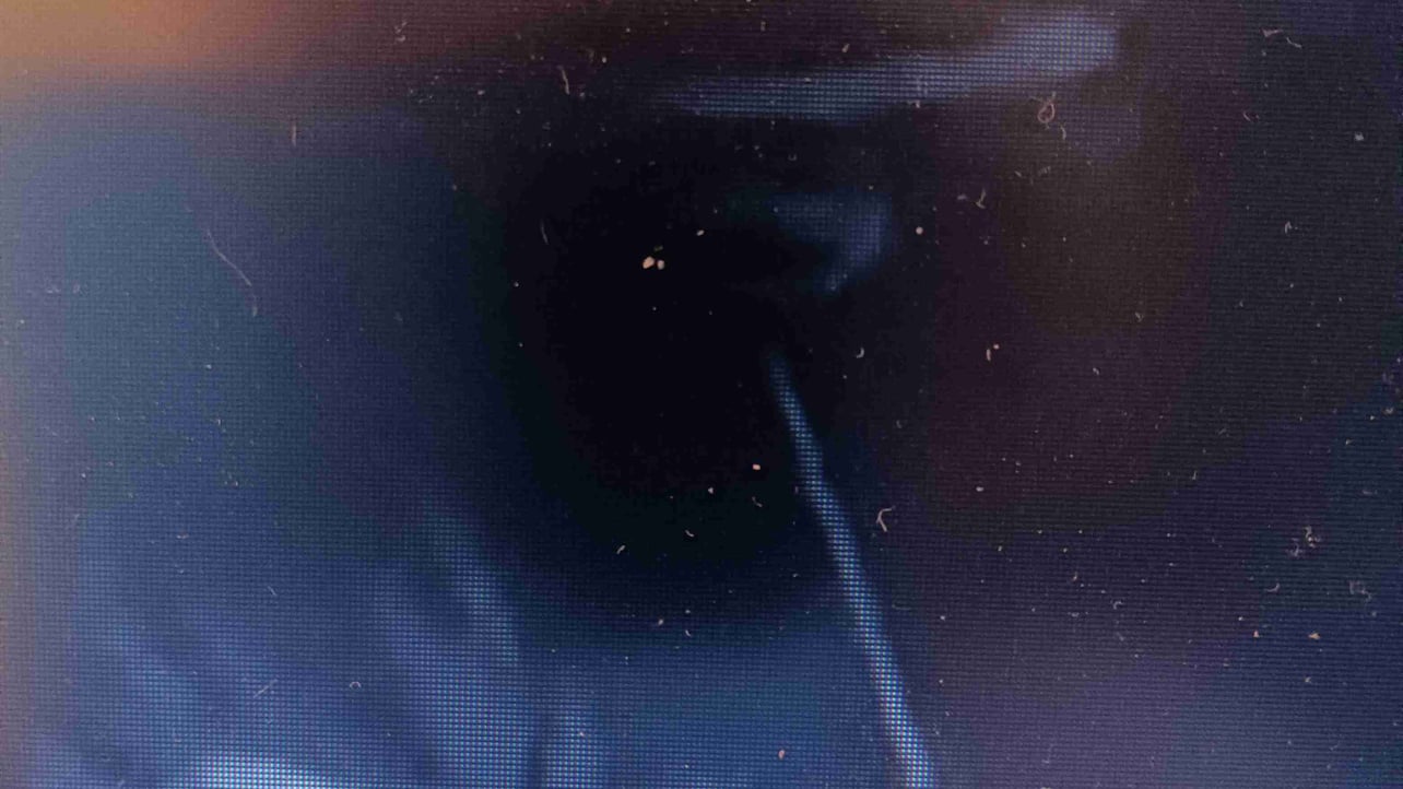 riddler_rt (riddlert) Farcaster social identity (Fname handle) PFP