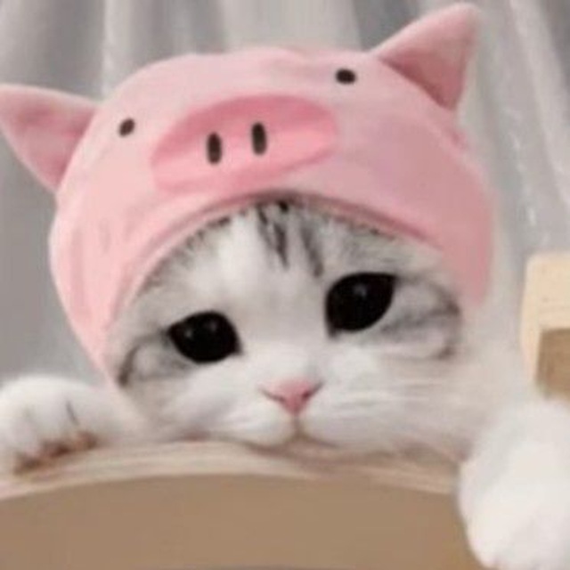 瓜子醬 pfp