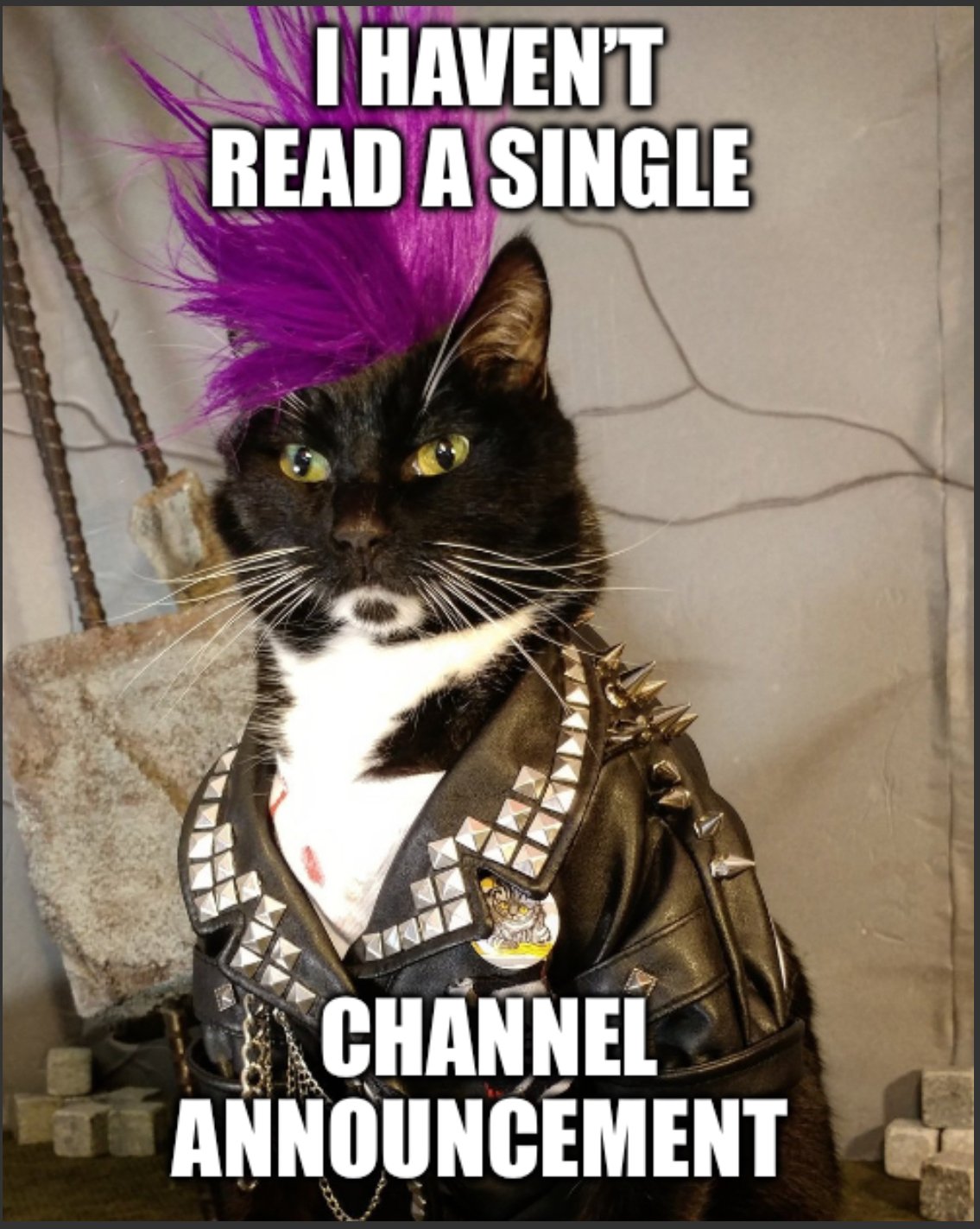 Embed from @adrienne