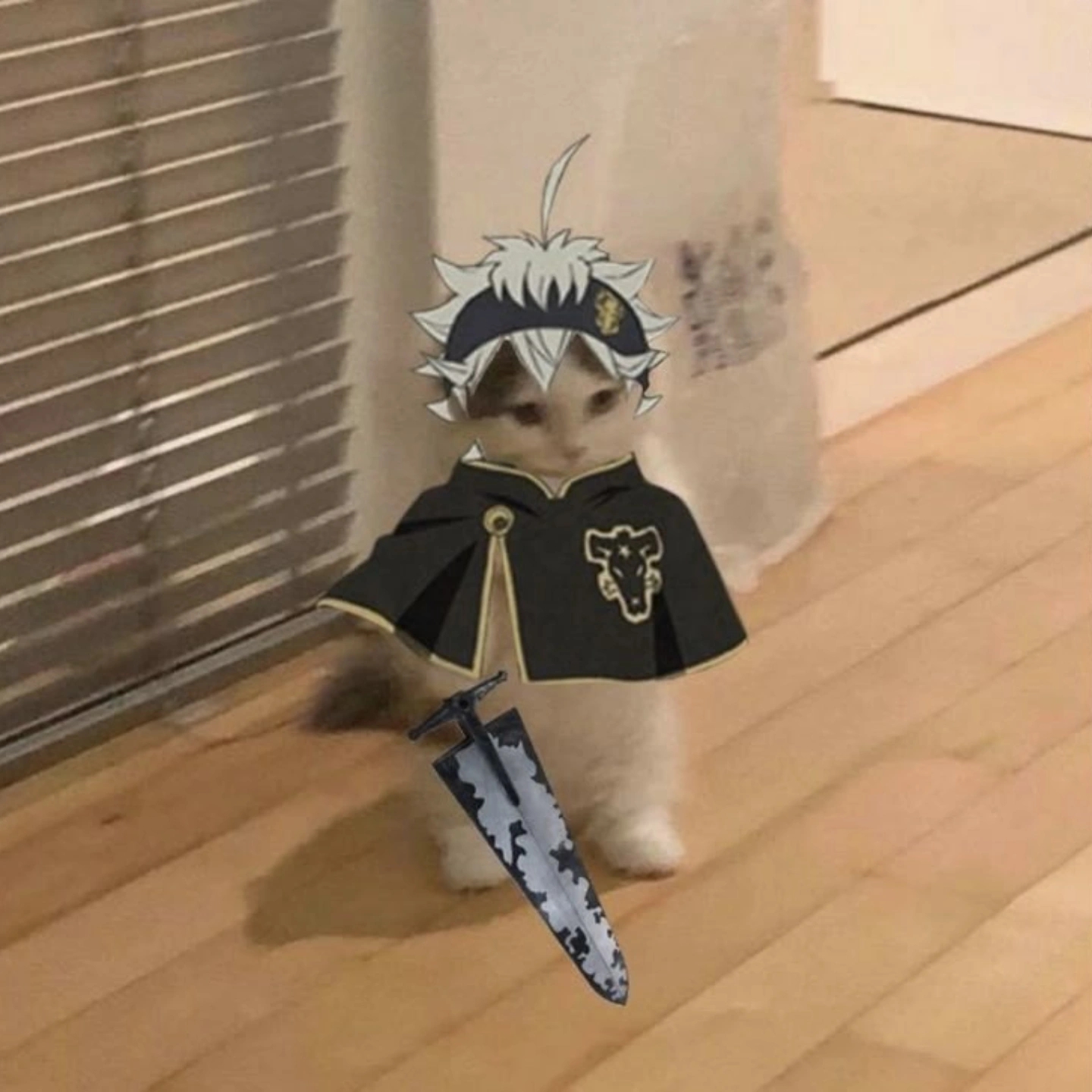 0xZrah|Pre rich π© pfp