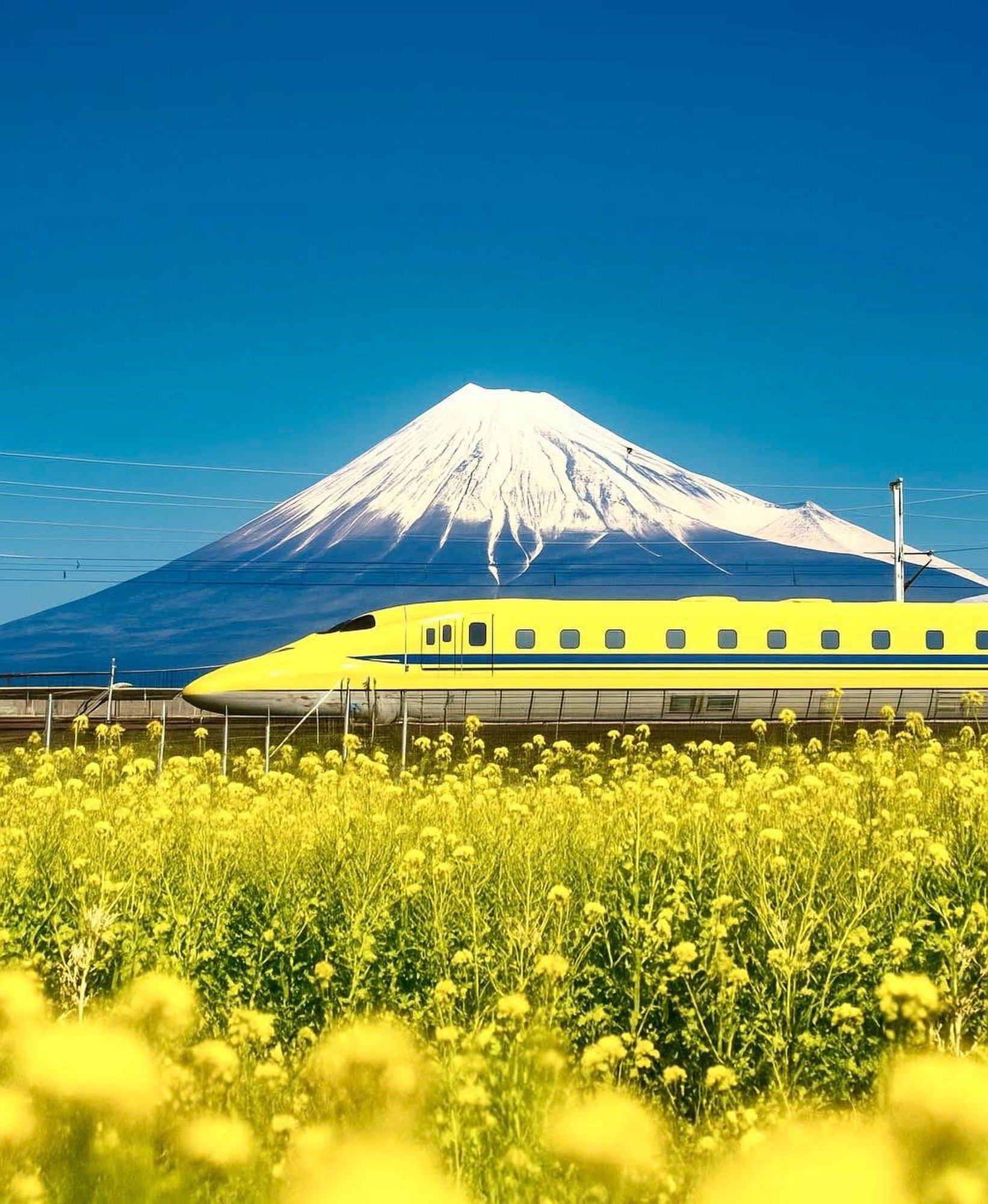 Miss you Dr. Yellow...🌼