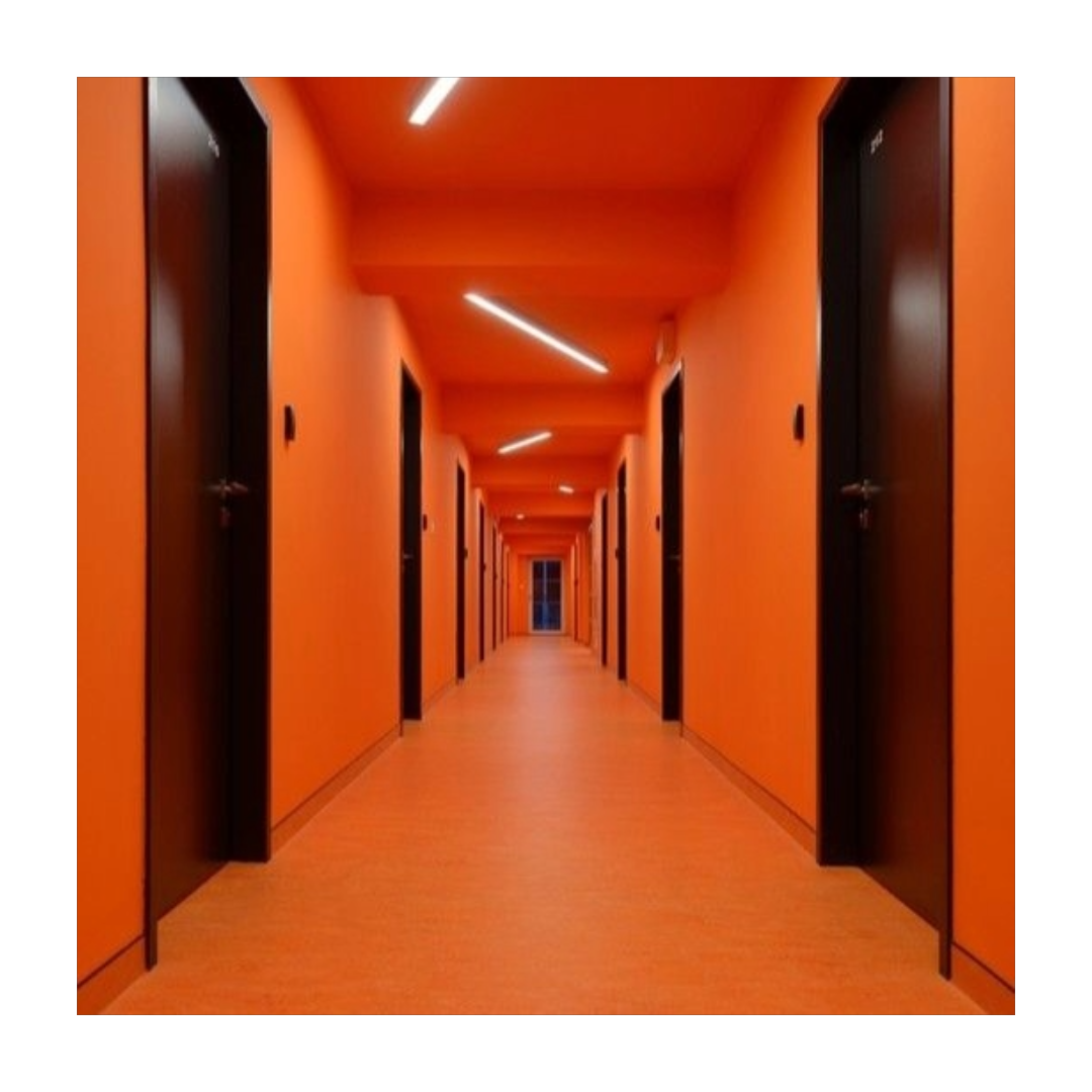 https://imagedelivery.net/BXluQx4ige9GuW0Ia56BHw/621f90ff-2c6d-42aa-0659-fb170cae7000/original