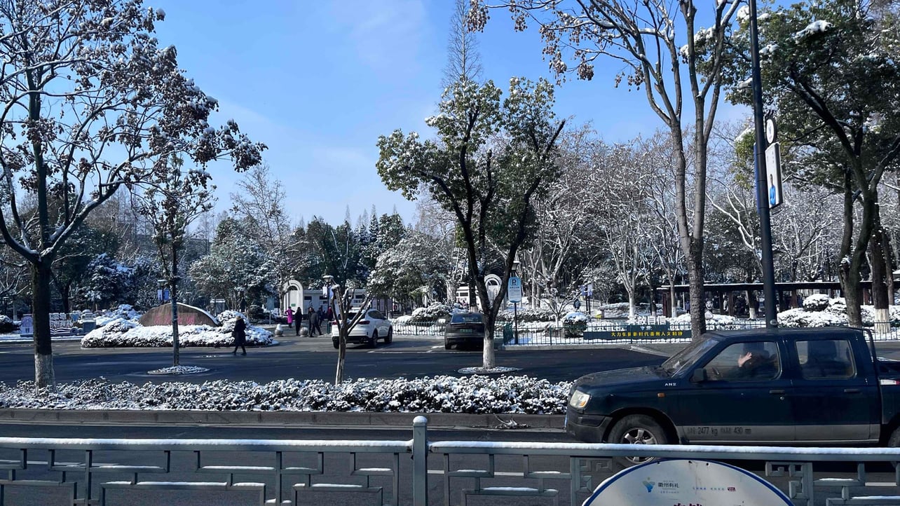 Stio (r816d1tlp) Farcaster social identity (Fname handle) PFP