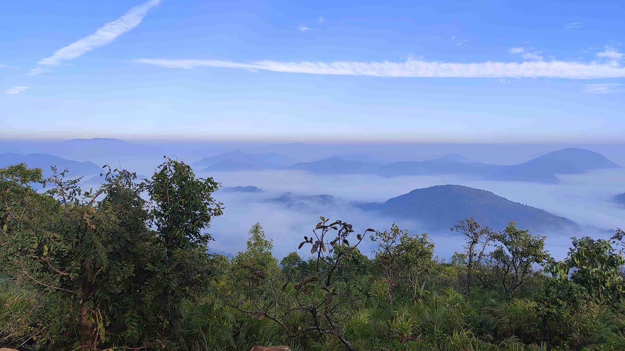 dubaiw3.lens Lens social identity (.lens handle) PFP