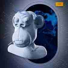 marycat.lens Lens social identity (.lens handle) PFP