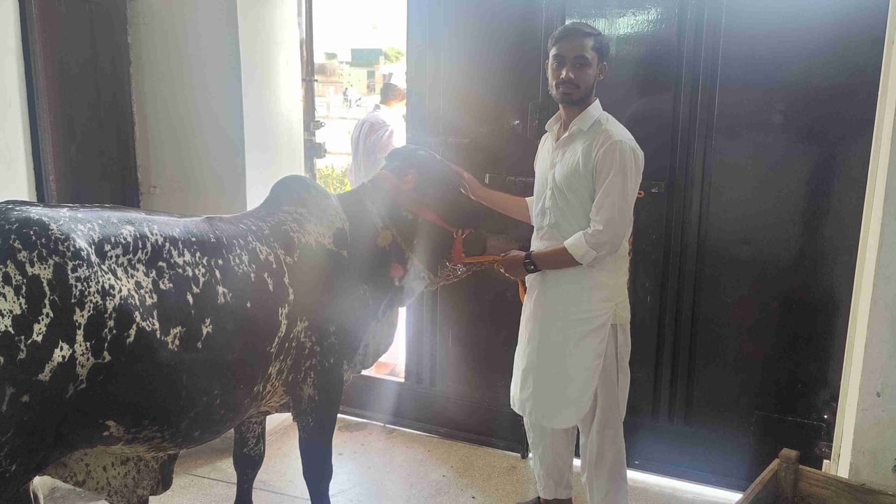 Muhammad Ammad Khan  (ammad641) Farcaster social identity (Fname handle) PFP