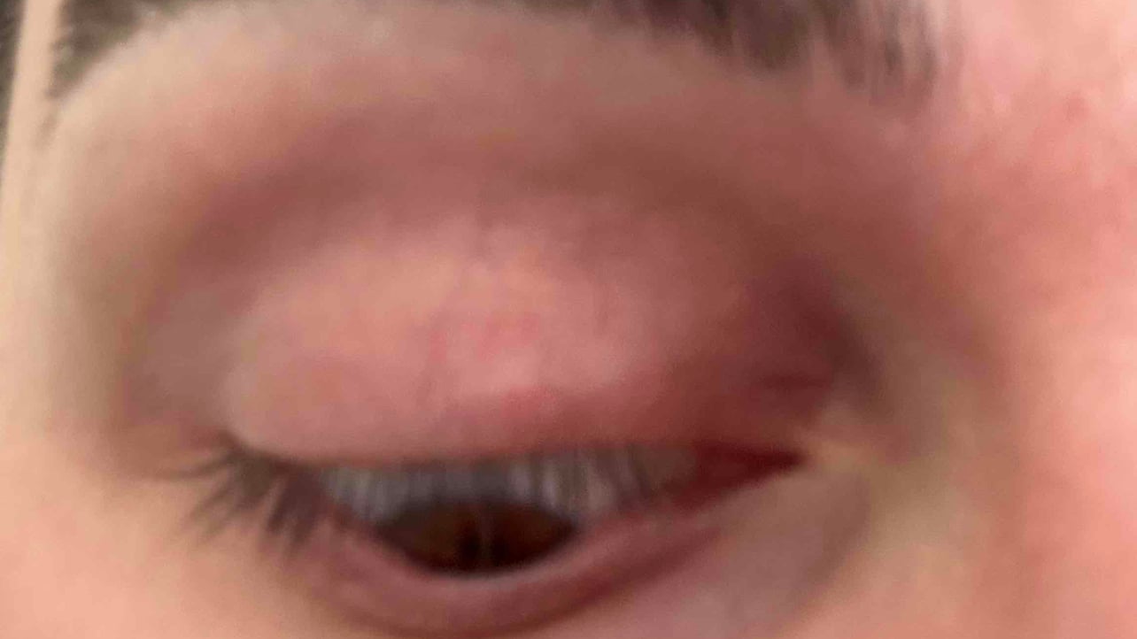 Hamster_JAMM (jammonairdrops.lens) Lens social identity (.lens handle) PFP