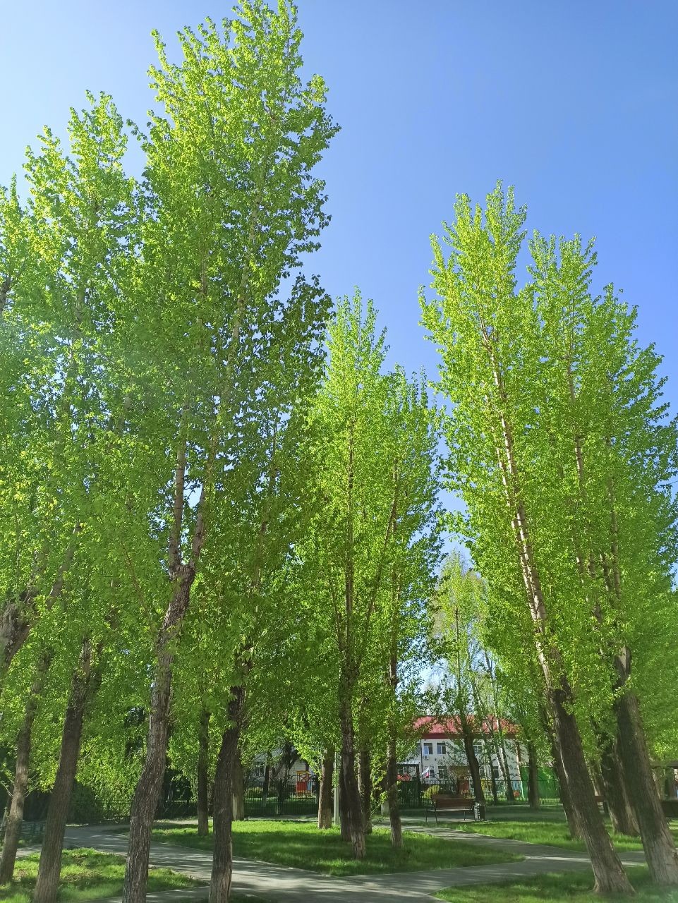 https://imagedelivery.net/BXluQx4ige9GuW0Ia56BHw/6420a9c8-60f9-4b66-1d63-820fbee86e00/original