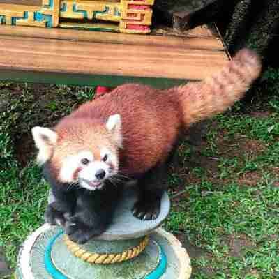 Divyansh Goel (divyanshgoel.lens) Lens social identity (.lens handle) PFP