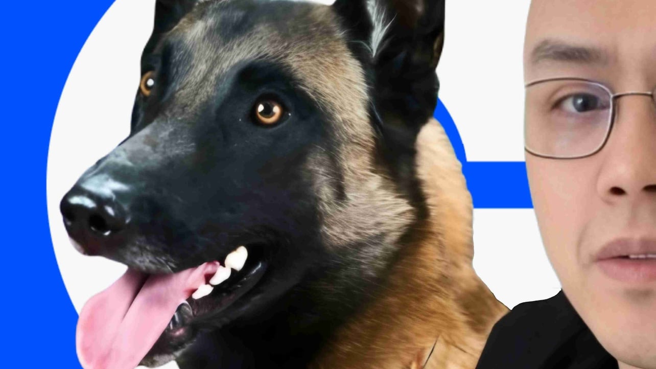 Broccoli on Base (broccolionbase) Farcaster social identity (Fname handle) PFP