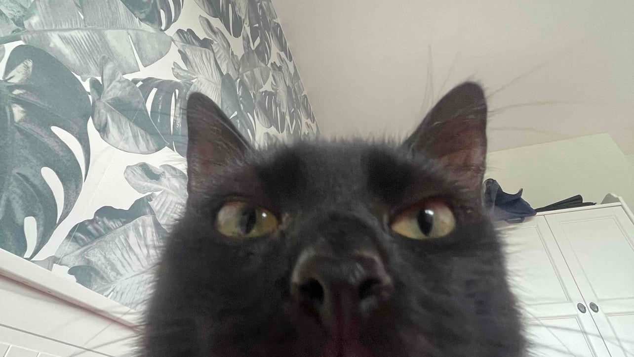 secso (astron33r) Farcaster social identity (Fname handle) PFP