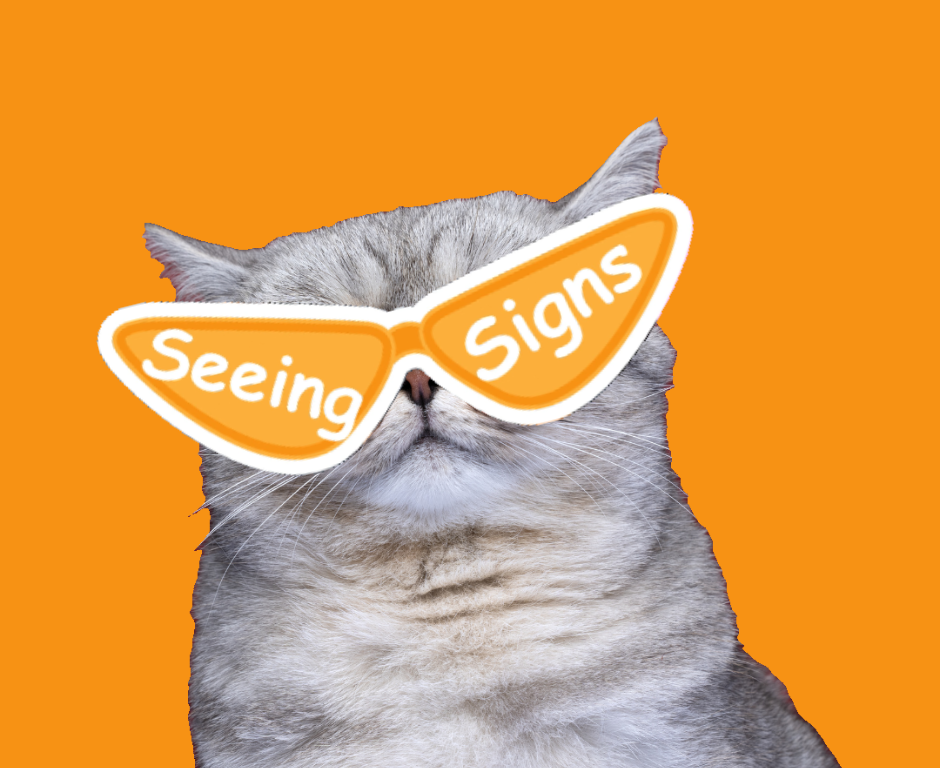 Shin 🧡 (rbshinko) Farcaster social identity (Fname handle) PFP