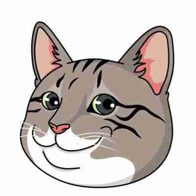 Ginnan pfp