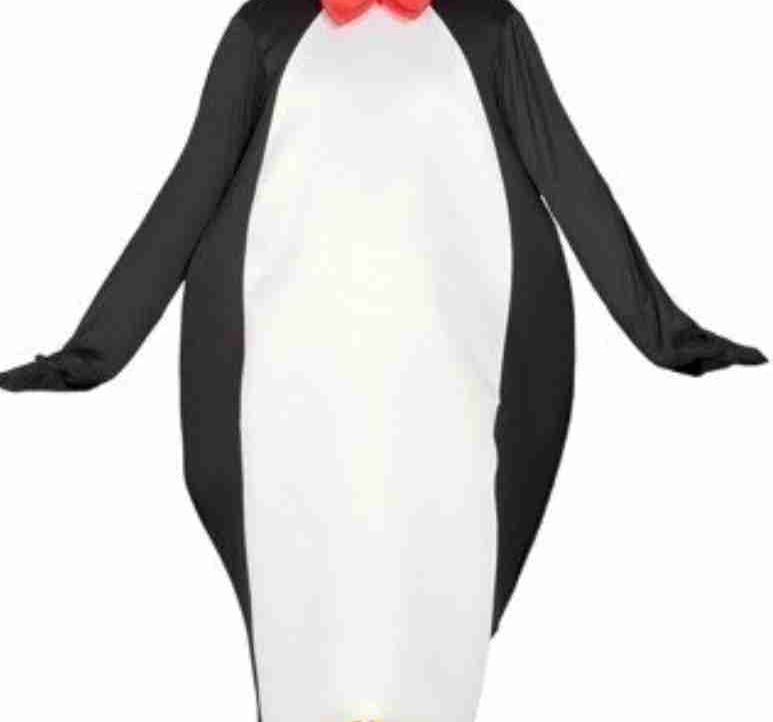 stokarzinio.lens Lens social identity (.lens handle) PFP