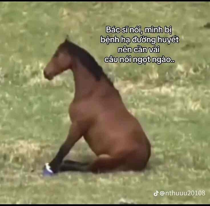 samsonn29.lens Lens social identity (.lens handle) PFP