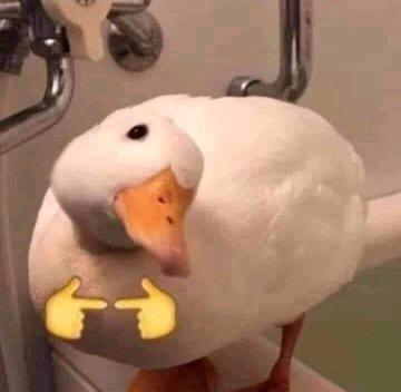 xdyor pfp
