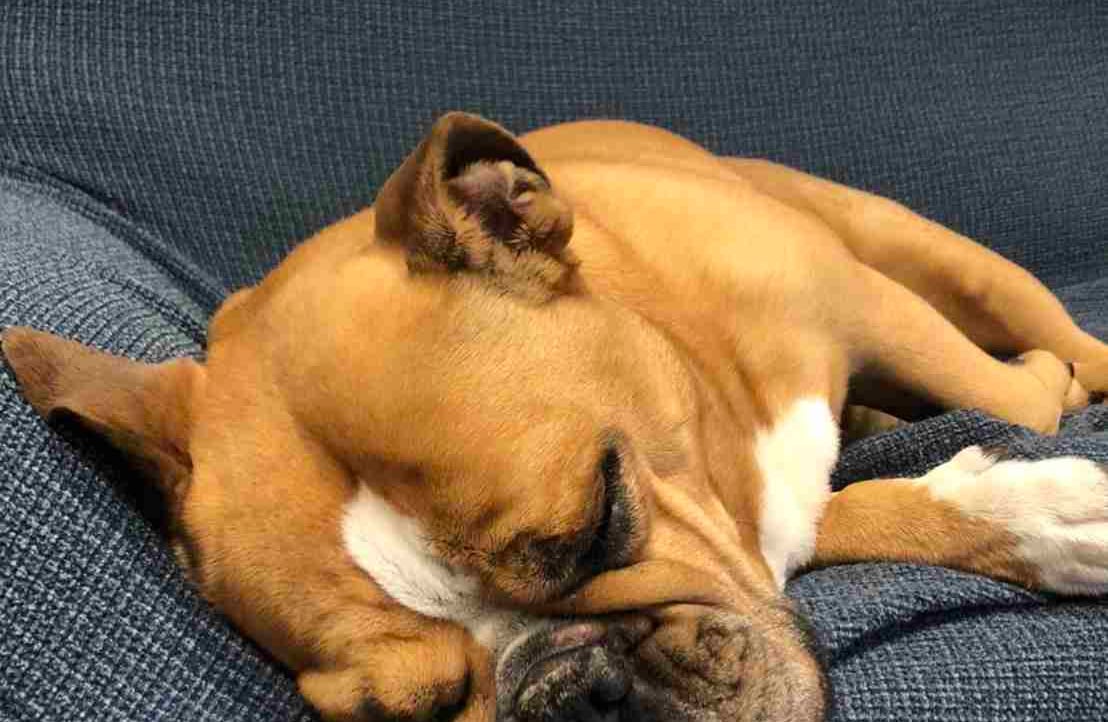 uki827cry.lens Lens social identity (.lens handle) PFP