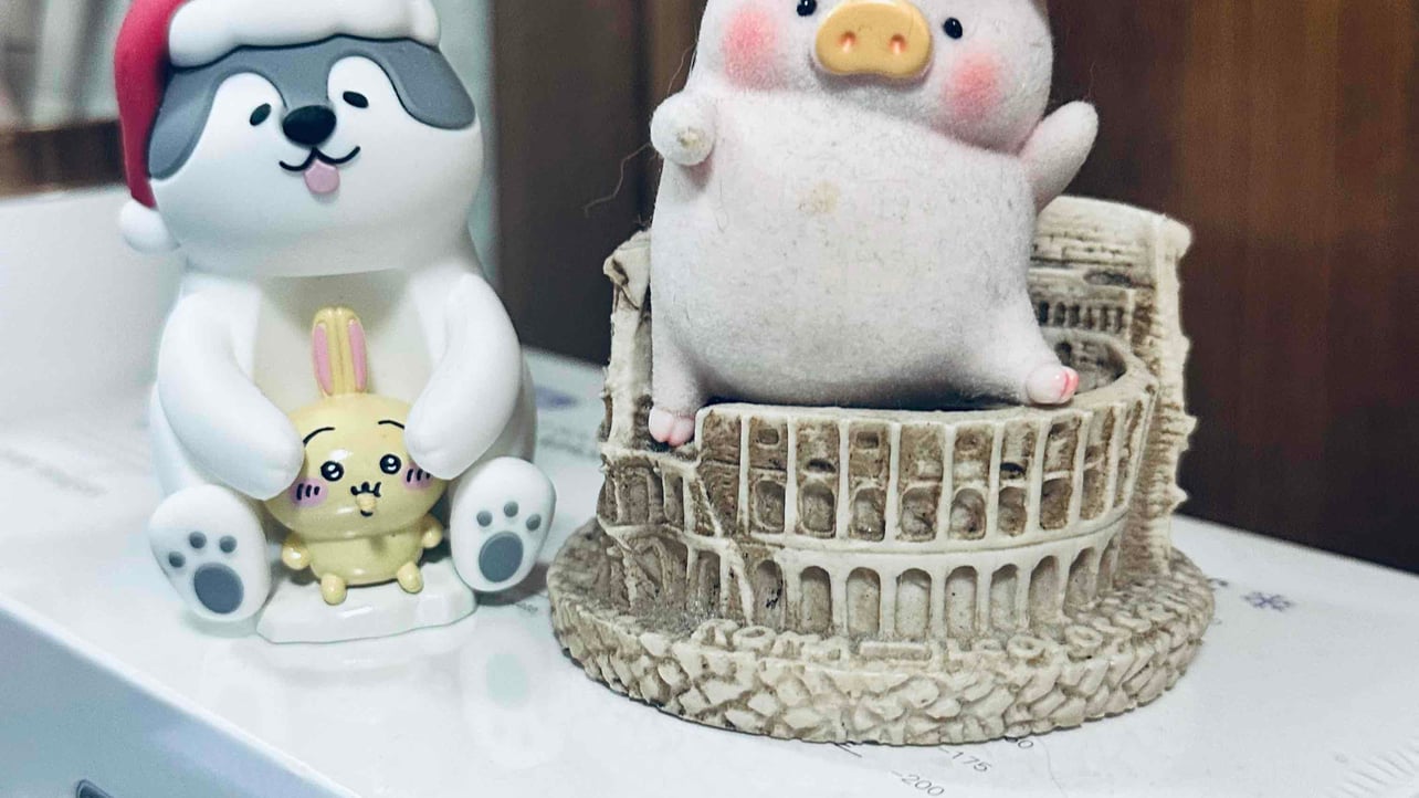 摸鱼大人 pfp