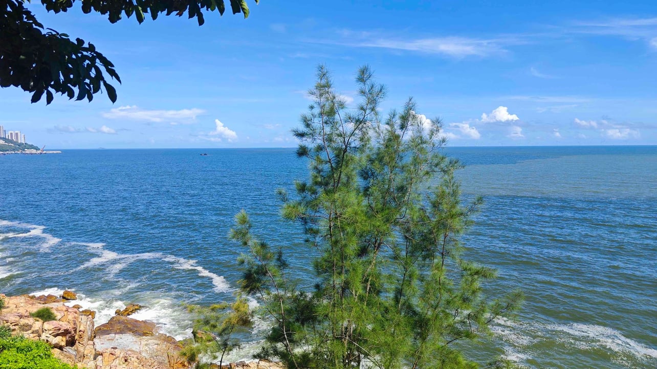 This (byi) Farcaster social identity (Fname handle) PFP